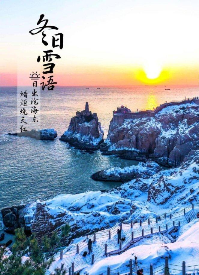 救援可爱小猪仔