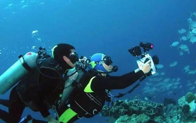 流浪法师怎么连招